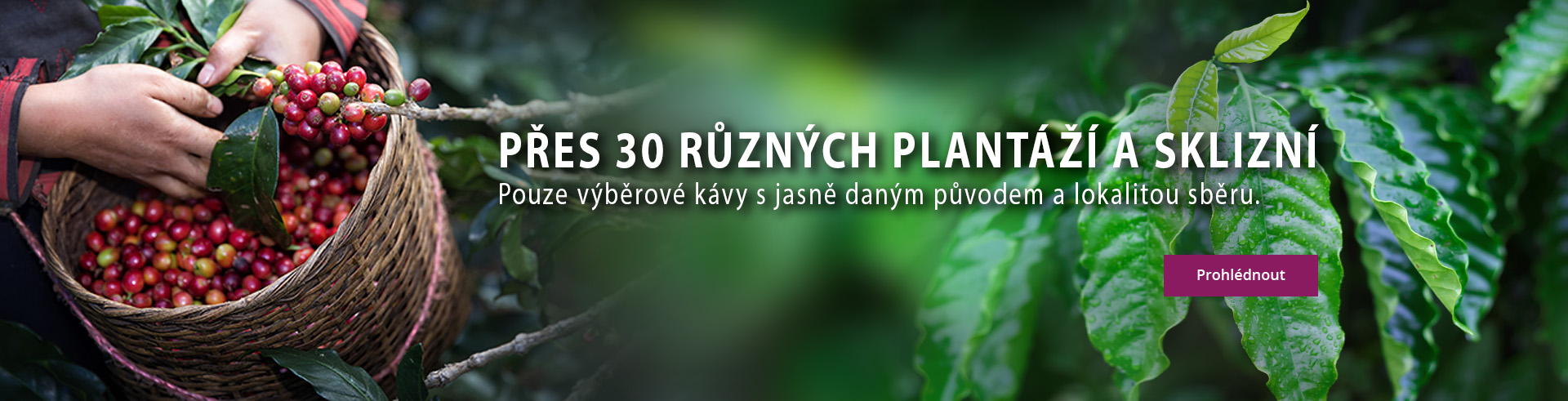 Prověření farmáři